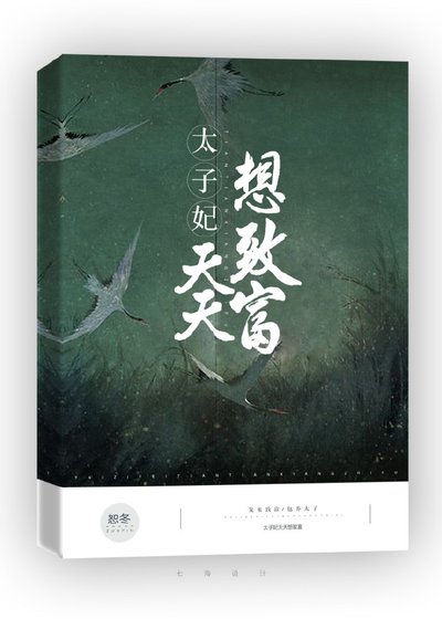 太子妃天天想致富（穿書）
